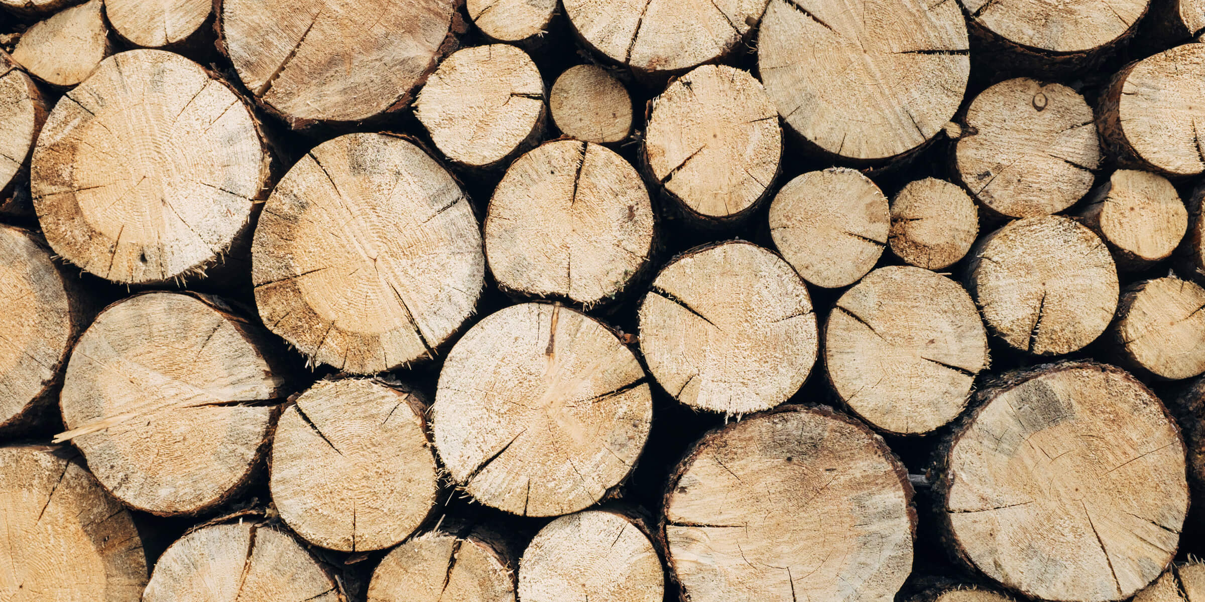 FINAL industries_forestry_2400pxWx1200pxH