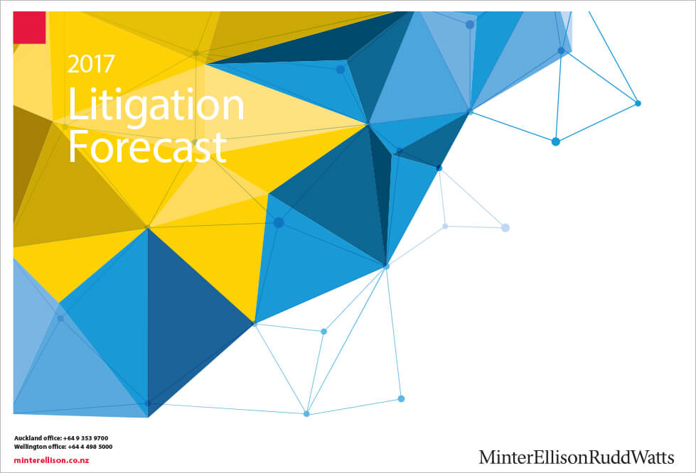 Litigation Forecast 2017